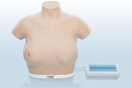電子乳腺癌觸診、視診訓(xùn)練模型